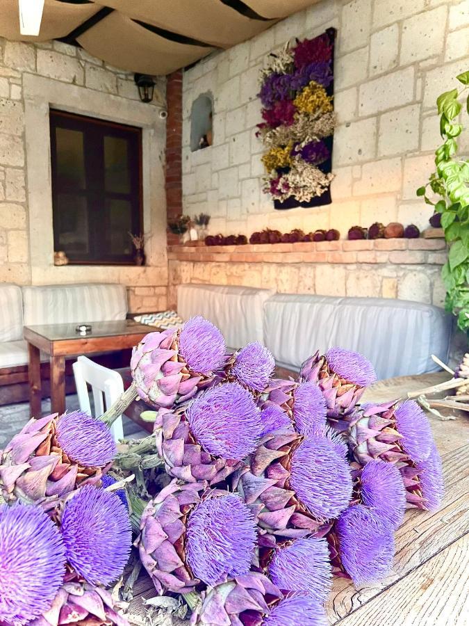 אלאקאטי Alayaz Hotel מראה חיצוני תמונה