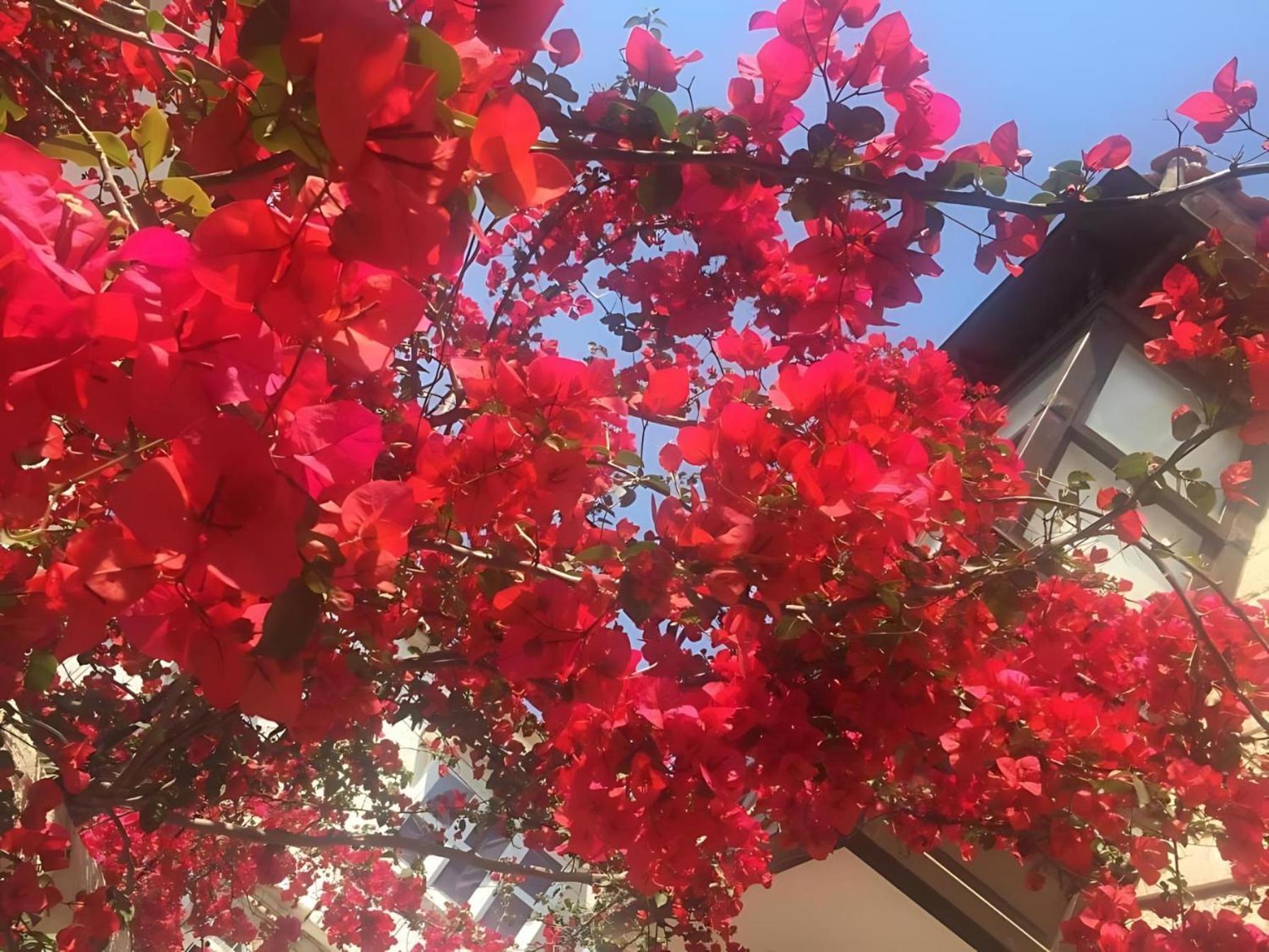 אלאקאטי Alayaz Hotel מראה חיצוני תמונה