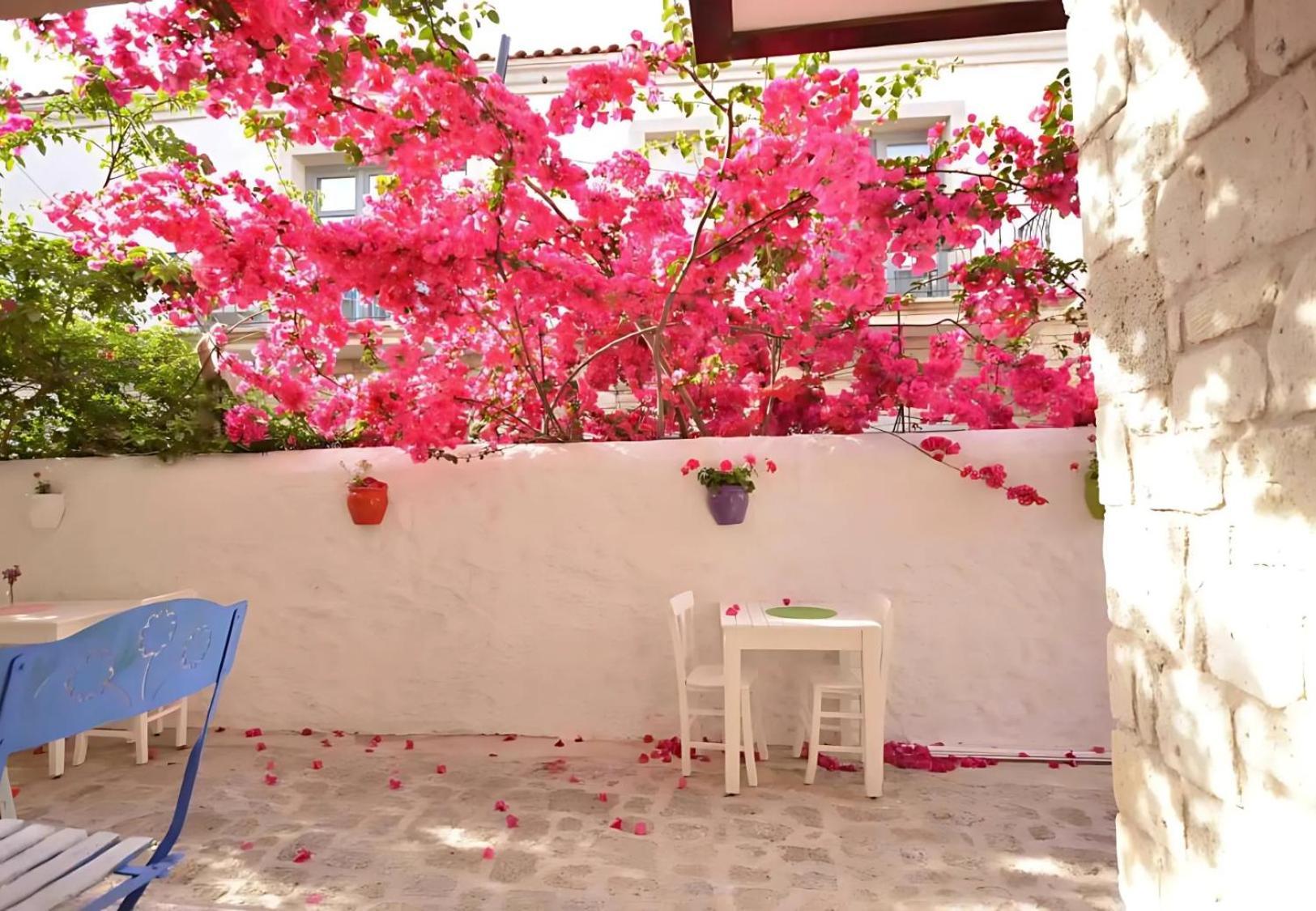 אלאקאטי Alayaz Hotel מראה חיצוני תמונה