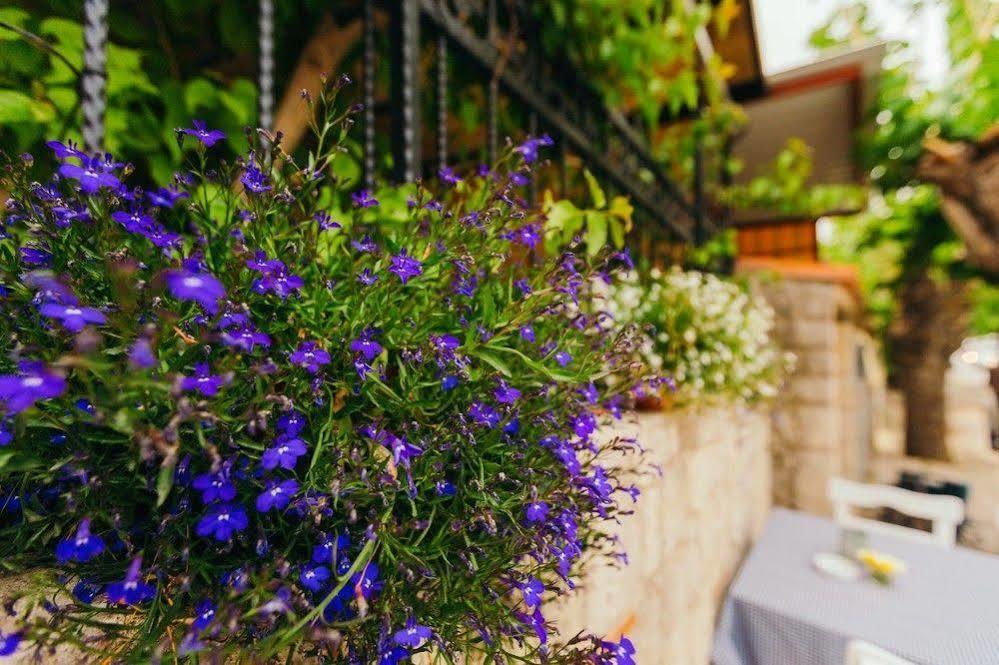 אלאקאטי Alayaz Hotel מראה חיצוני תמונה